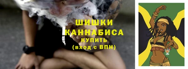 прущие грибы Балабаново