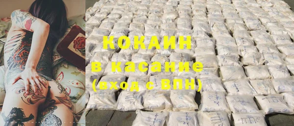 прущие грибы Балабаново