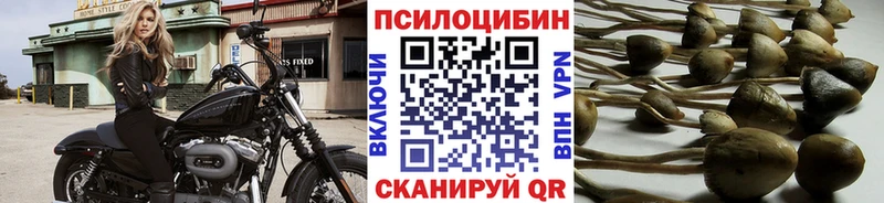 Купить закладки  Ладушкин  Галлюциногенные грибы ЛСД 